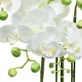Floristik24 Orchidées artificielles en pot plante artificielle blanche 63cm