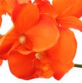 Floristik24 Branche d&#39;orchidée orange 61cm
