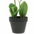 Floristik24 Orchidées blanches en pot plante artificielle H35cm