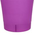 Floristik24 Pot d&#39;orchidée en plastique violet Ø12,5cm H14cm