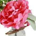 Floristik24 Décoration pivoine dans le vase décoration de table rose d&#39;été 20cm