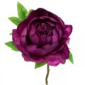 Floristik24 Paeonia, fleur de pivoine artificielle Pivoine Rose Ø11cm L45cm