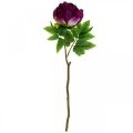 Floristik24 Paeonia, fleur de pivoine artificielle Pivoine Rose Ø11cm L45cm