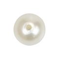 Floristik24 Perles à enfiler perles artisanales blanc crème 12mm 300g