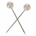 Epingles tête perle champagne Ø15mm 75mm | Floristik24.be