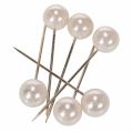 Floristik24 Epingles tête perle champagne Ø20mm 90mm