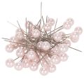 Floristik24 Epingles Tête Perle Rose Ø10mm 60mm