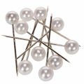 Floristik24 Epingles Tête Perle Blanc Ø15mm 75mm