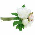 Floristik24 Bouquet de pivoine blanc / rose 27cm 6pcs