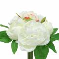 Floristik24 Bouquet de pivoine blanc / rose 27cm 6pcs
