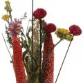 Floristik24 Bouquet de fleurs séchées fleurs des prés rose DIY set H30-35cm