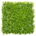 Floristik24 Tapis décoratif mural en buis artificiel 55x55 cm