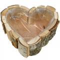Floristik24 Jardinière, bol en bois en forme de coeur, jardinière en bois de bouleau, bol coeur 27 × 28cm