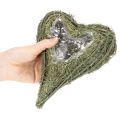 Cœur végétal en matériau naturel avec insert en feuille d'aluminium, 22 cm, 2 pièces | Floristik24.be