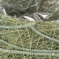 Bol en forme de cœur en herbe naturelle avec feuille de plantation, 38 cm | Floristik24.be