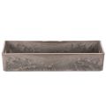 Plateau rectangulaire compact, polyvalent pour la décoration et les plantations, 23 cm | Floristik24.be