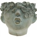 Floristik24 Tête de plante, buste déco, capitule, décoration béton, aspect antique H18cm