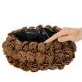 Pot de plantation rond en pomme de pin, 30 cm | Floristik24.be