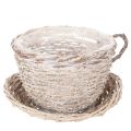 Floristik24 Tasse en panier avec soucoupe décorative, grande décoration de table 34 cm
