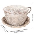 Tasse en panier avec soucoupe décorative, grande décoration de table 34 cm | Floristik24.be