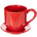 Grande tasse décorative avec soucoupe, pouvant servir de pot de fleurs, 17 cm | Floristik24.be