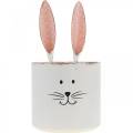 Floristik24 Cache-pot tête de lapin, décoration de Pâques, lapin en métal, décoration printanière à planter