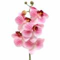 Floristik24 Branche d&#39;orchidée artificielle Phaelaenopsis rose H49cm