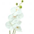 Floristik24 Orchidée Phalaenopsis blanche artificielle 80cm