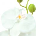 Floristik24 Orchidée Phalaenopsis blanche artificielle 80cm