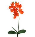 Floristik24 Orchidée factice avec feuilles, orange 35 cm