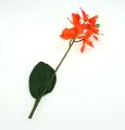 Floristik24 Orchidée factice avec feuilles, orange 35 cm