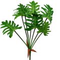 Floristik24 Philodendron artificiel en vert 58cm