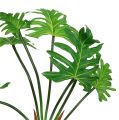 Floristik24 Philodendron artificiel en vert 58cm