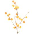Floristik24 Plante artificielle de type lanterne chinoise, branche de Physalis avec fleurs, 95 cm
