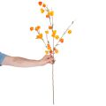Plante artificielle de type lanterne chinoise, branche de Physalis avec fleurs, 95 cm | Floristik24.be