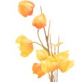 Plante artificielle de type lanterne chinoise, branche de Physalis avec fleurs, 95 cm | Floristik24.be