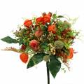 Floristik24 Bouquet d&#39;automne physalis 26cm