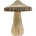 Floristik24 Champignon en bois écorce et paillettes déco champignons bois H11cm 3pcs