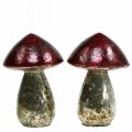 Floristik24 Déco champignons verre rouge vintage décoration automne Ø9cm H13.5cm 2pcs