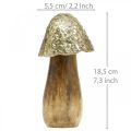 Floristik24 Champignon déco métal bois doré, présentoir déco naturel 13,5cm