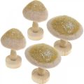 Floristik24 Déco champignon bois, feutre à paillettes décoration de table Avent H11cm 4pcs