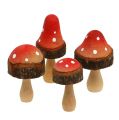 Floristik24 Mélange de champignons en bois 5.5cm - 8cm 8pcs