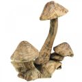 Floristik24 Groupe de champignons, bois de paulownia, décoration automne, sculpture bois H33cm L30cm