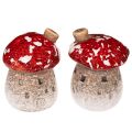 Floristik24 Décoration de maison champignon, amanite tue-mouches miniature de 6 cm, 2 pièces