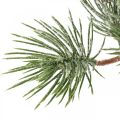 Floristik24 Branches de Noël branche de pin artificielle enneigée 30cm 6pcs