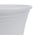 Floristik24 Pot plastique “Irys” blanc Ø15cm H13cm, 1pce