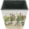 Floristik24 Pot à herbes, jardinière avec motif, jardinière H13cm L13,5cm