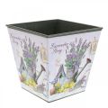 Floristik24 Cache-pot motif lavande, pot décoratif carré, cache pot plastique H13cm L13.5cm