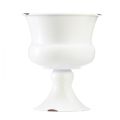 Floristik24 Coupe vase coupelle décorative blanc rouille Ø13,5cm H15cm Shabby Chic