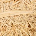 Bottes de raphia naturel pour l'art floral et l'emballage cadeau, 1 kg | Floristik24.be
